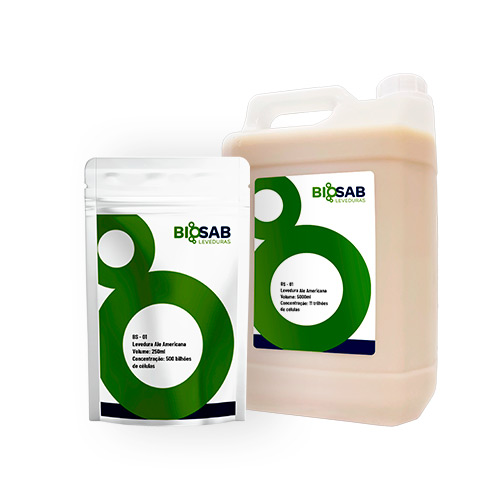 BS-01 | LEVEDURA ALE AMERICANA produto